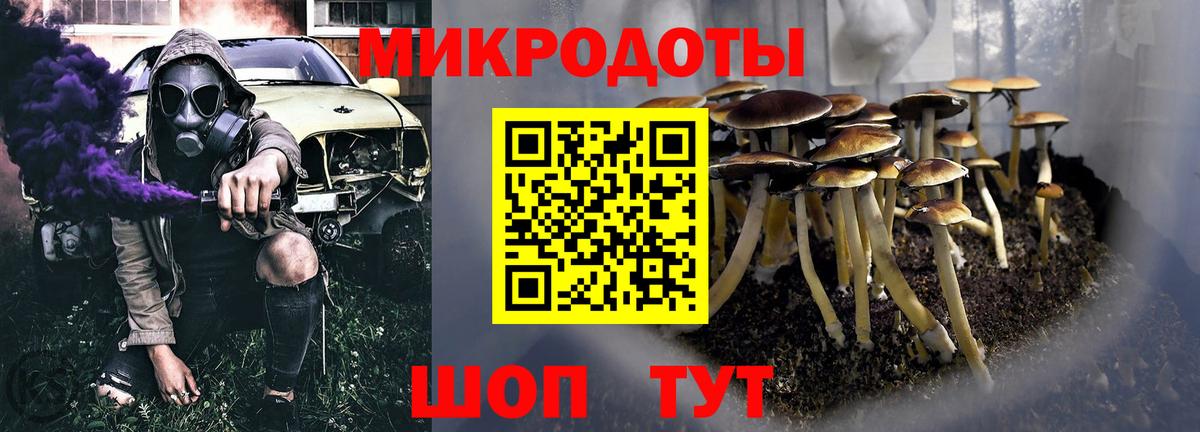 Псилоцибиновые грибы Psilocybine cubensis  Вход с VPN  Белгород 